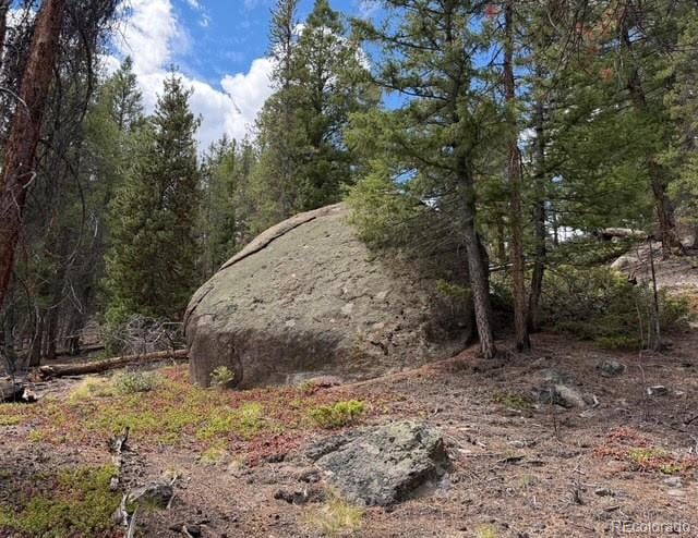 640 Edward E Hill Dr, Twin Lakes, CO 81251