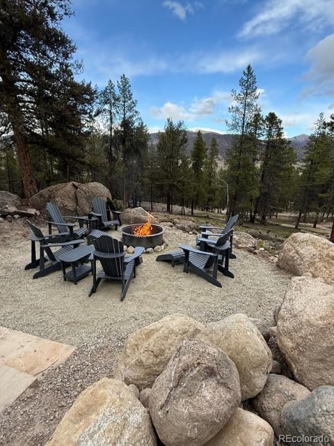 640 Edward E Hill Dr, Twin Lakes, CO 81251