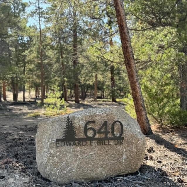 640 Edward E Hill Dr, Twin Lakes, CO 81251