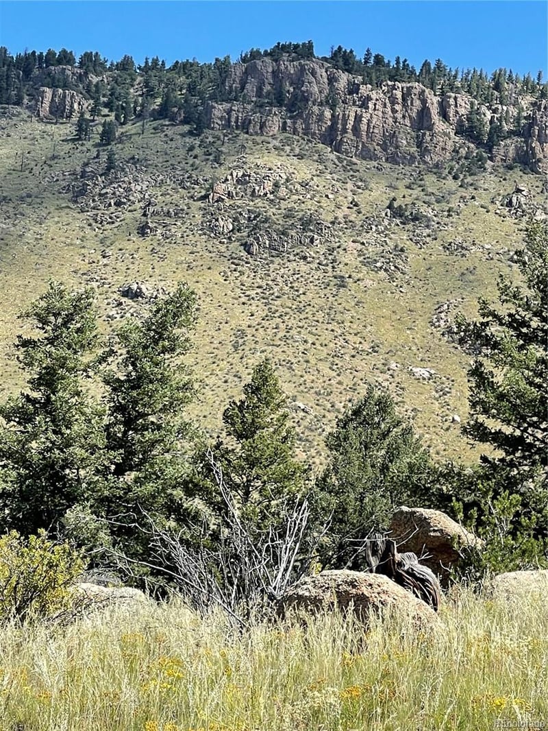 29355 Cr 305, Buena Vista, CO 81211