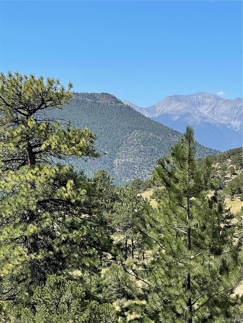29355 Cr 305, Buena Vista, CO 81211