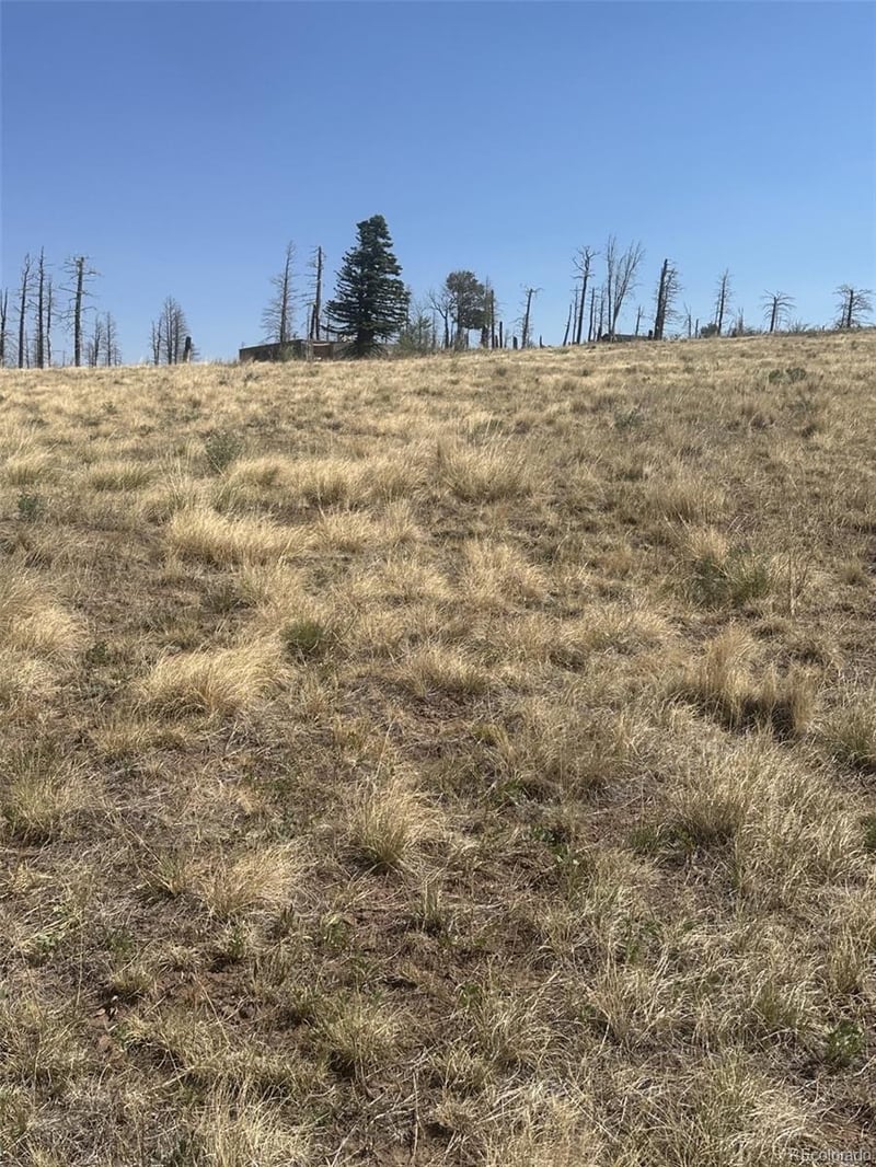 2343 Sigler Dr, Fort Garland, CO 81133
