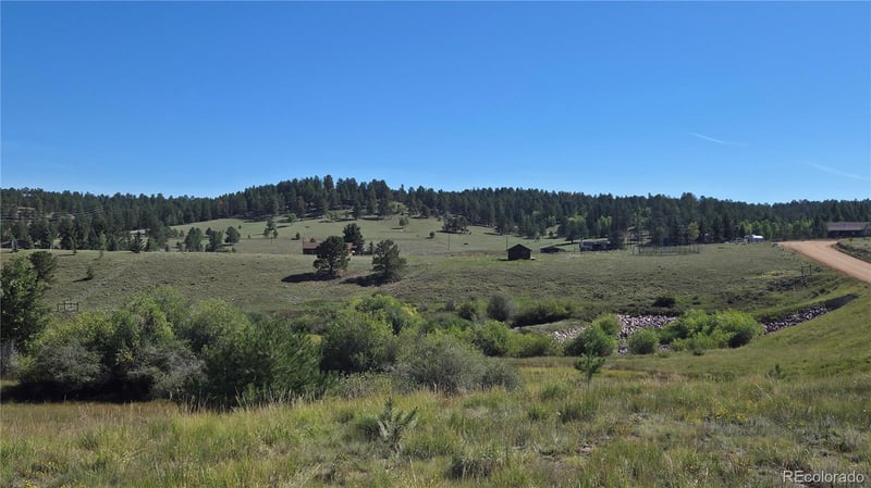 99 Uintah Ridge Rd, Florissant, CO 80816
