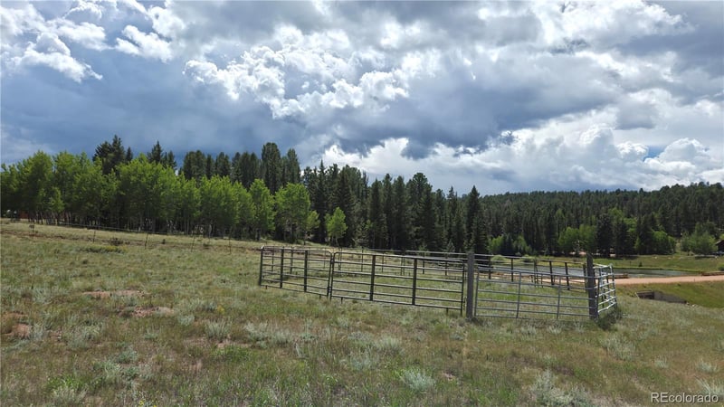 99 Uintah Ridge Rd, Florissant, CO 80816