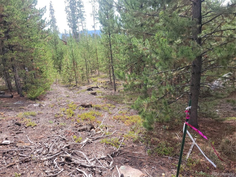 65 Grand County Road 6621, Grand Lake, CO 80447