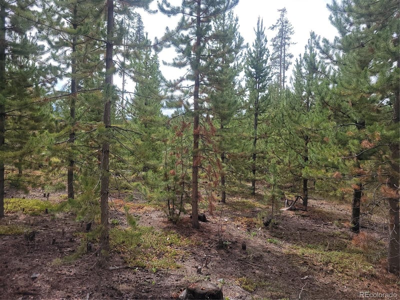 65 Grand County Road 6621, Grand Lake, CO 80447