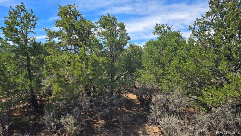 Lot 1862 Wilking Rd, Fort Garland, CO 81133