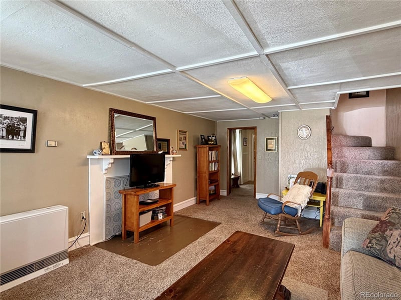 119 E 14th St, Leadville, CO 80461