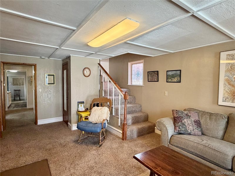119 E 14th St, Leadville, CO 80461
