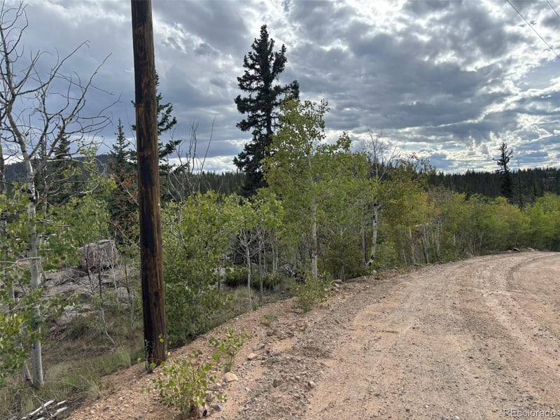 150 Ambush Ln, Jefferson, CO 80456