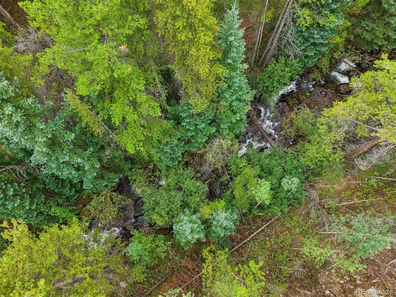 001 Fall River Rd, Idaho Springs, CO 80452