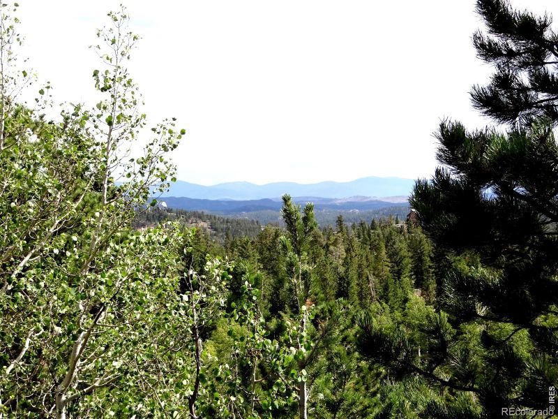 115 Wenro Ct, Red Feather Lakes, CO 80545