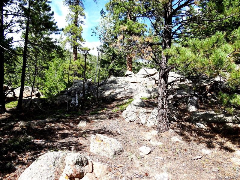 115 Wenro Ct, Red Feather Lakes, CO 80545