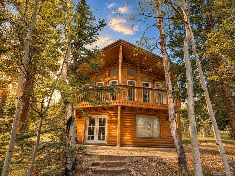38 Grebe Ln, Como, CO 80456