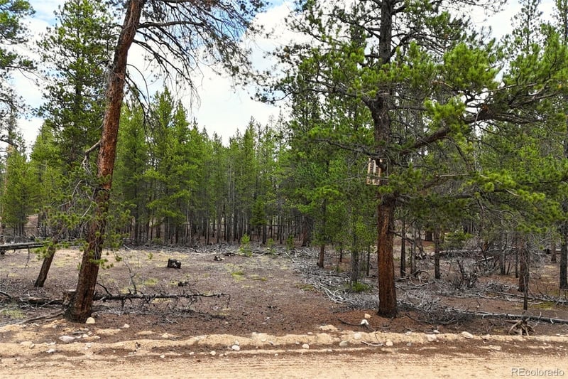 701 Cedar Dr, Leadville, CO 80461
