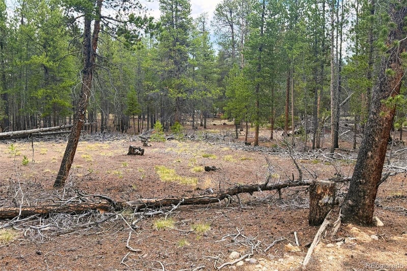 701 Cedar Dr, Leadville, CO 80461