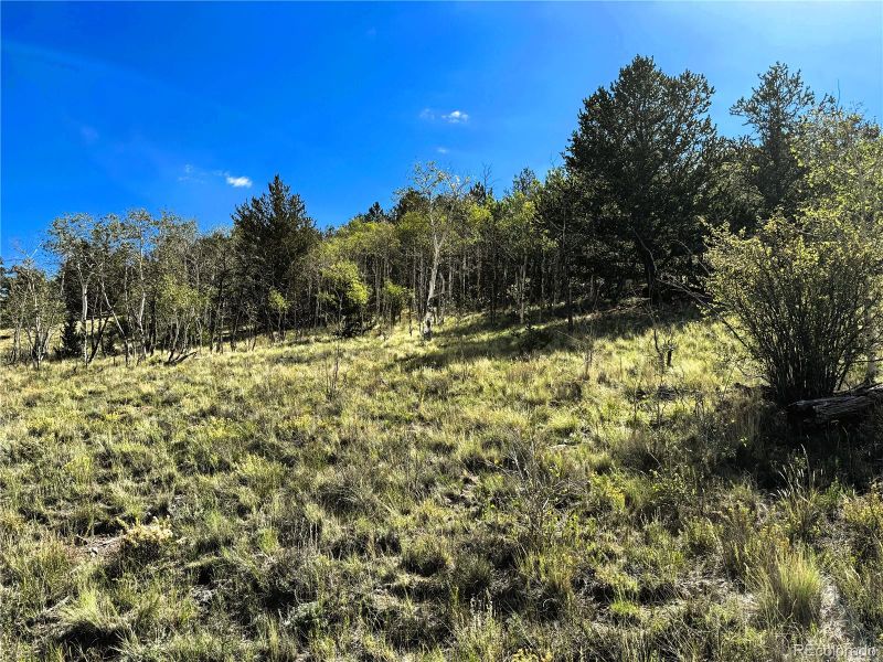 8390 Chickasaw Rd Lot 1755, Hartsel, CO 80449