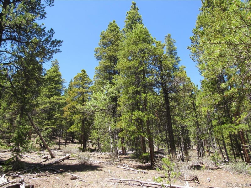 380 Georges Way, Alma, CO 80420
