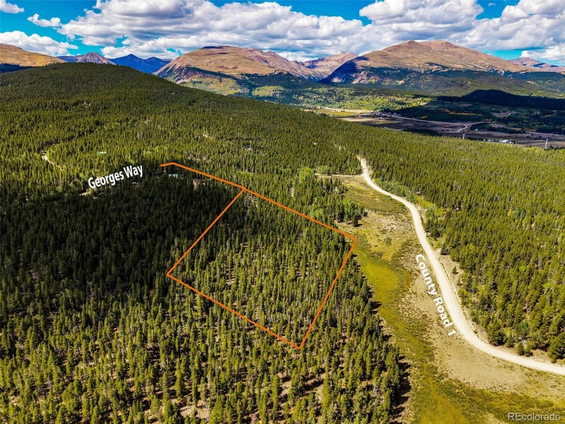 380 Georges Way, Alma, CO 80420
