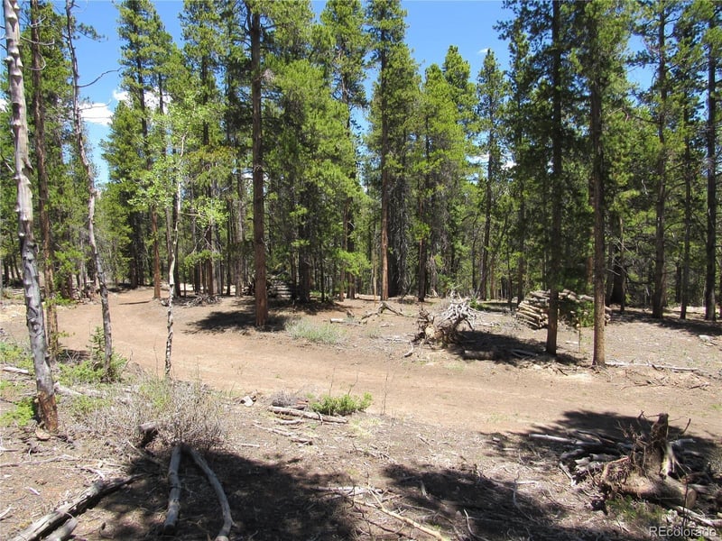 380 Georges Way, Alma, CO 80420