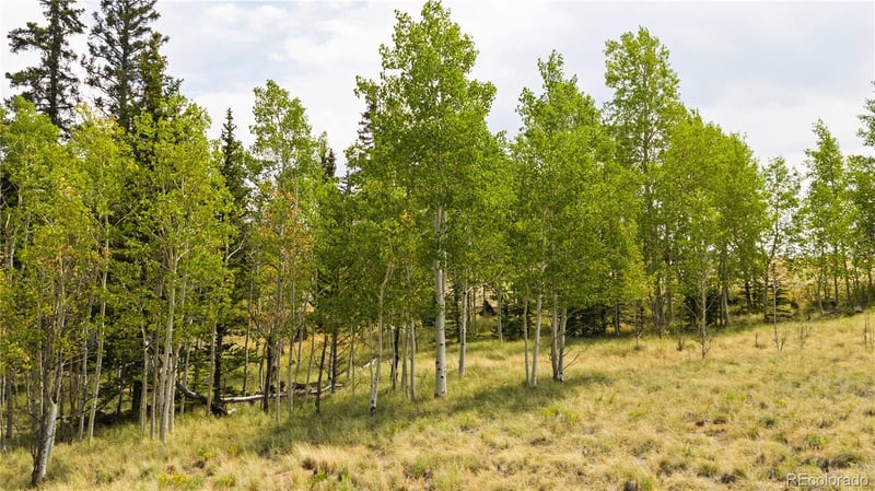 540 Turk Pony Way, Como, CO 80432