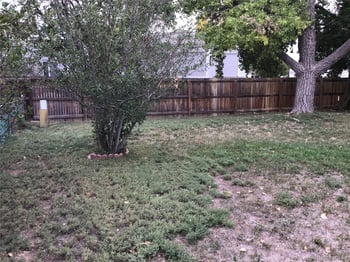 3561 E 118th Ave, Denver, CO 80233