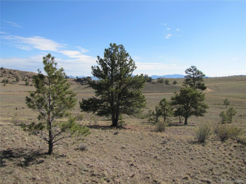 Lot 49 Quail Ct Lot 49, Hartsel, CO 80449