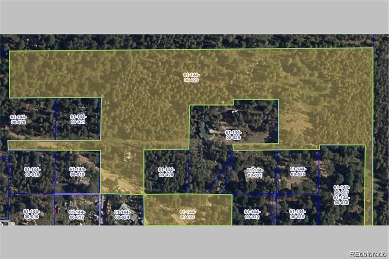 Pleasant Park Rd, Conifer, CO 80433