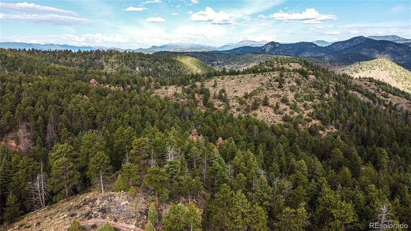 Tbd Cathedral Trl, Conifer, CO 80433