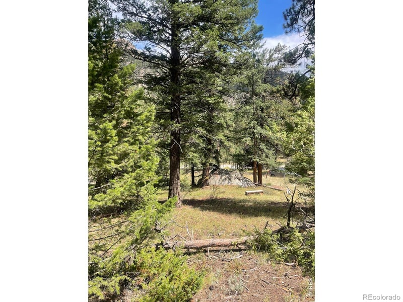 0 Cedar Dr, Lyons, CO 80540