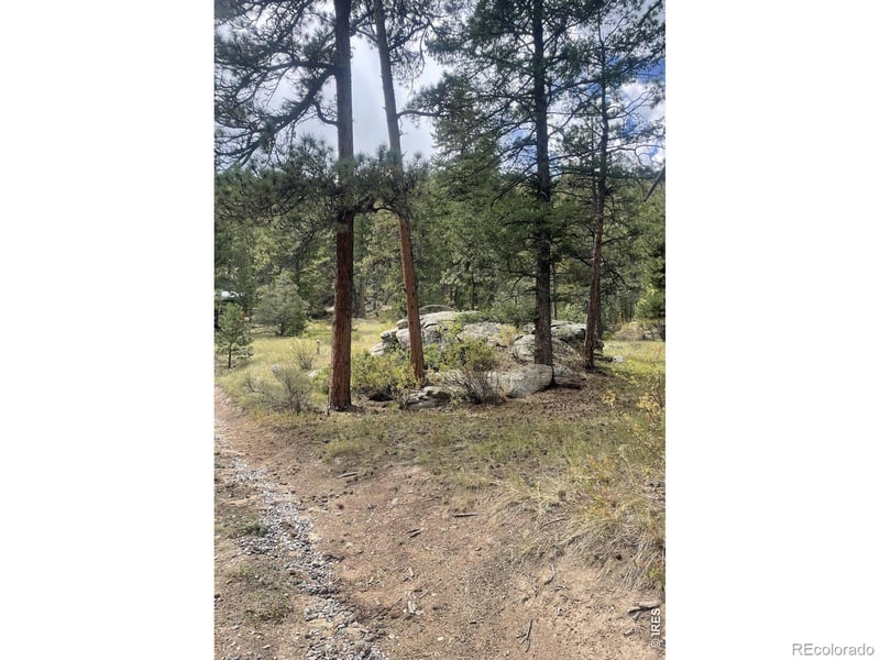 0 Cedar Dr, Lyons, CO 80540