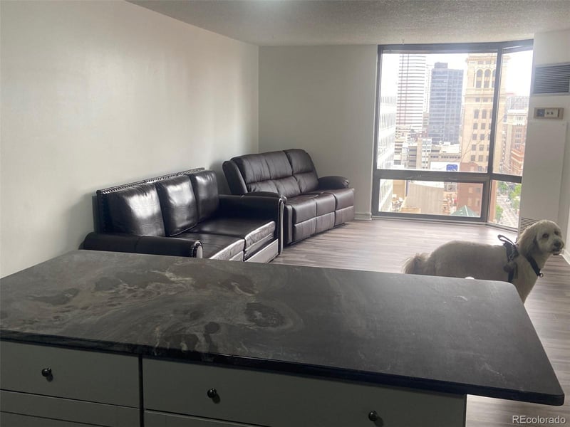 1625 Larimer St #2004, Denver, CO 80202