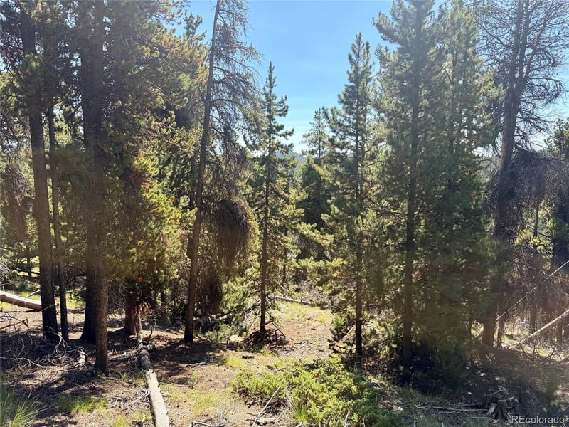 0 Lodgepole Cir, Evergreen, CO 80439