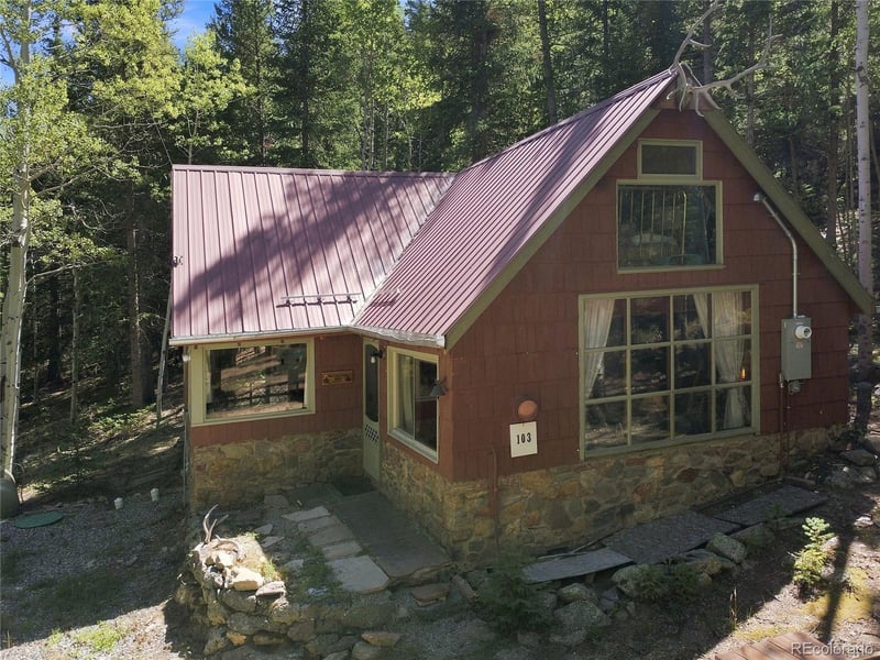 103 Forest Haven Ln, Idaho Springs, CO 80452