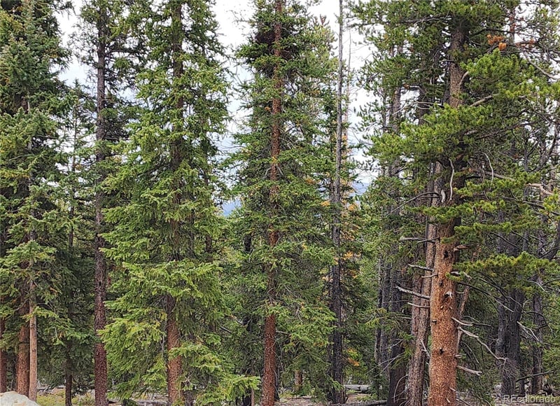 806 Bobcat Ln Lot 0428, Fairplay, CO 80440