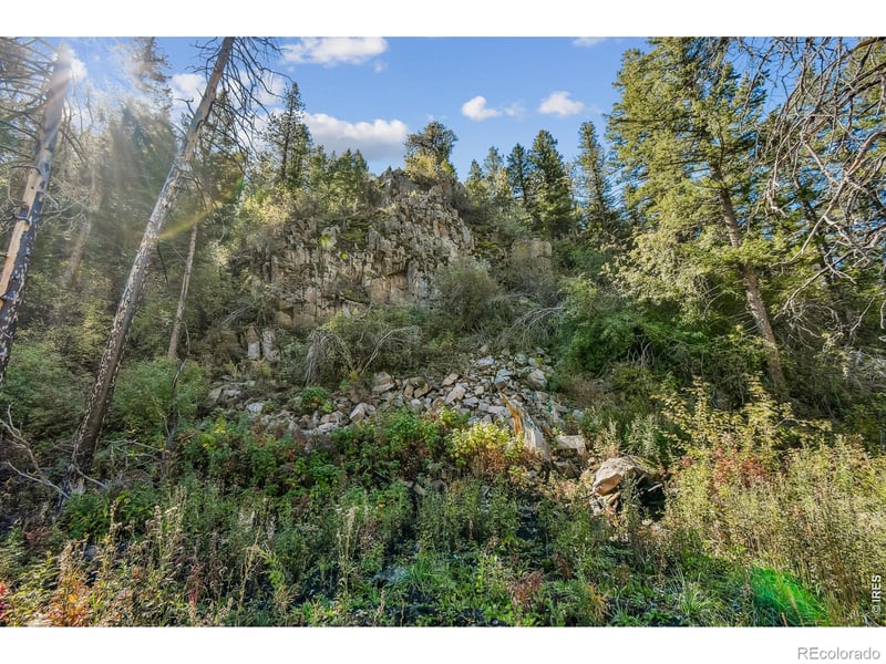 511 Riverside Dr, Lyons, CO 80540