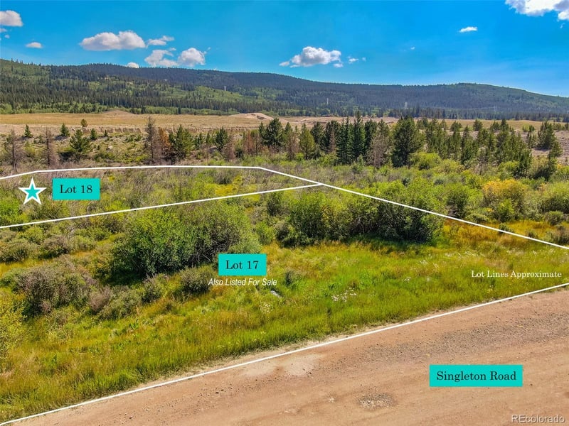 Lot 18 Singleton Rd, Alma, CO 80420