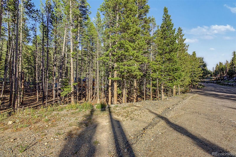 Elk Rd Lot 134, Idaho Springs, CO 80452