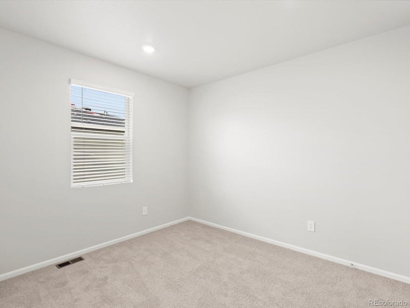 1242 Spring Creek Dr, Windsor, CO 80550