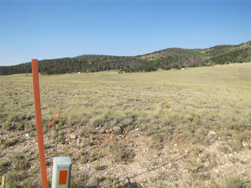 1027 Bolster Dr, Hartsel, CO 80449