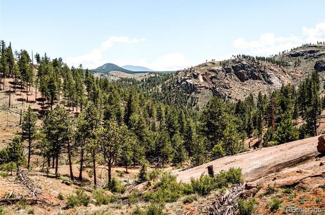 16320 Cochise Trl, Pine, CO 80470