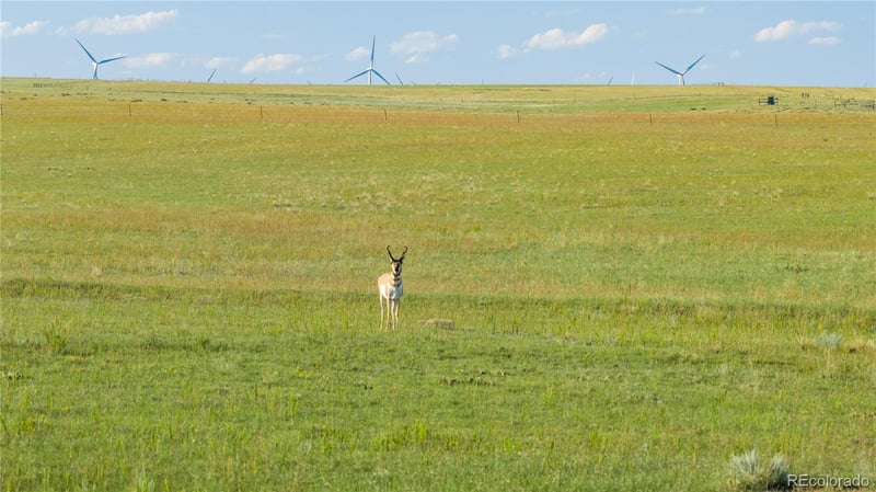 6555 N Yoder Rd, Calhan, CO 80808
