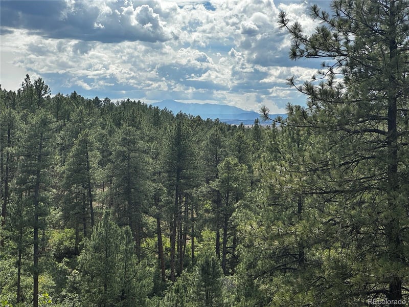 10996 Deerfield Rd, Franktown, CO 80116