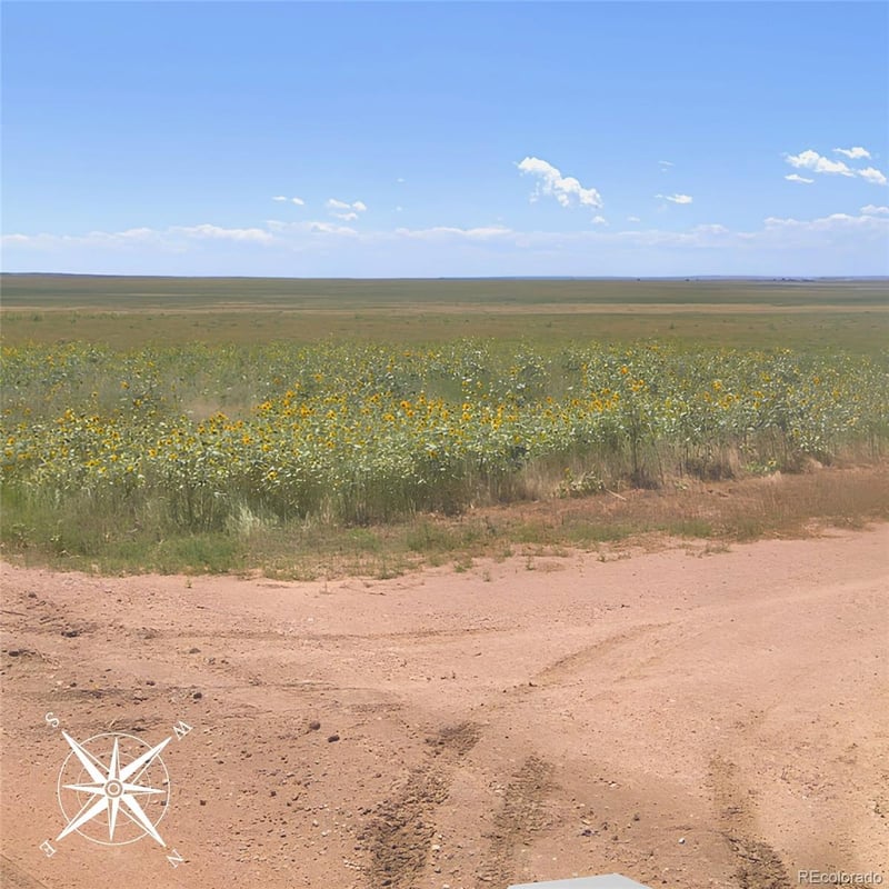 Weld County Road 93, Briggsdale, CO 80611