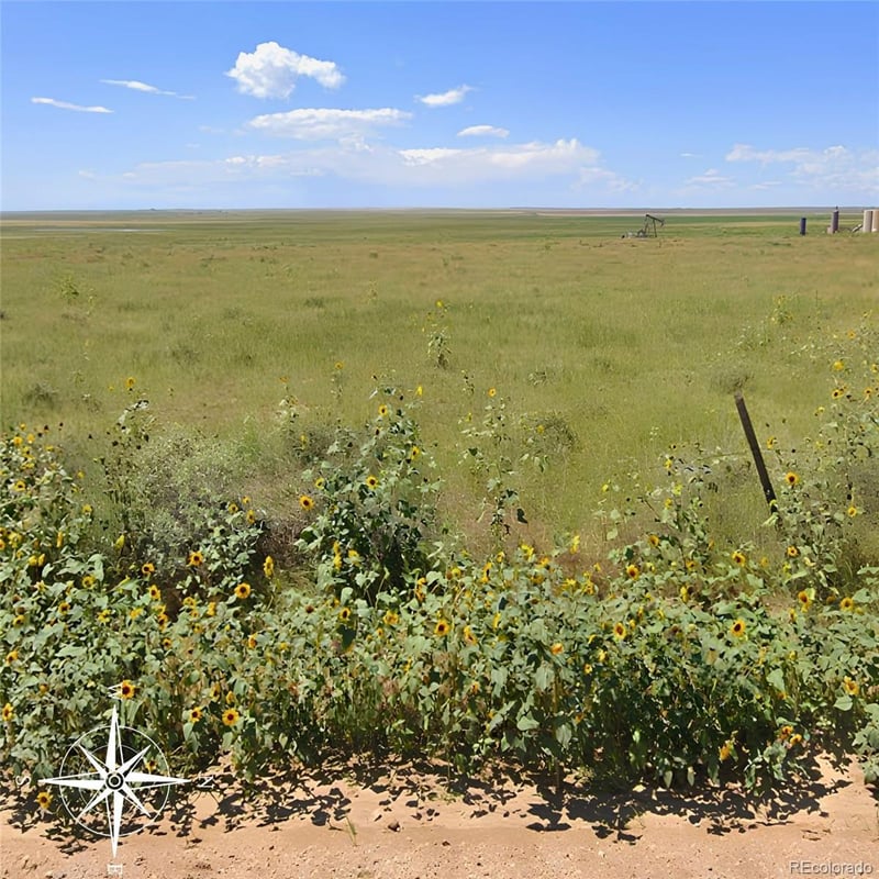 Weld County Road 93, Briggsdale, CO 80611