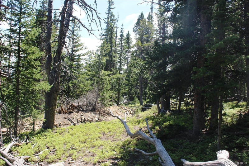 00 Fs 412 1j, Black Hawk, CO 80422
