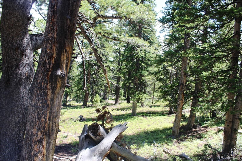 00 Fs 412 1j, Black Hawk, CO 80422