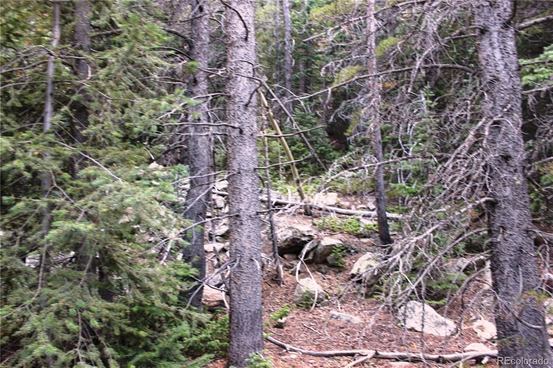 00 Gamble Gulch Lot 337,16773, Black Hawk, CO 80422