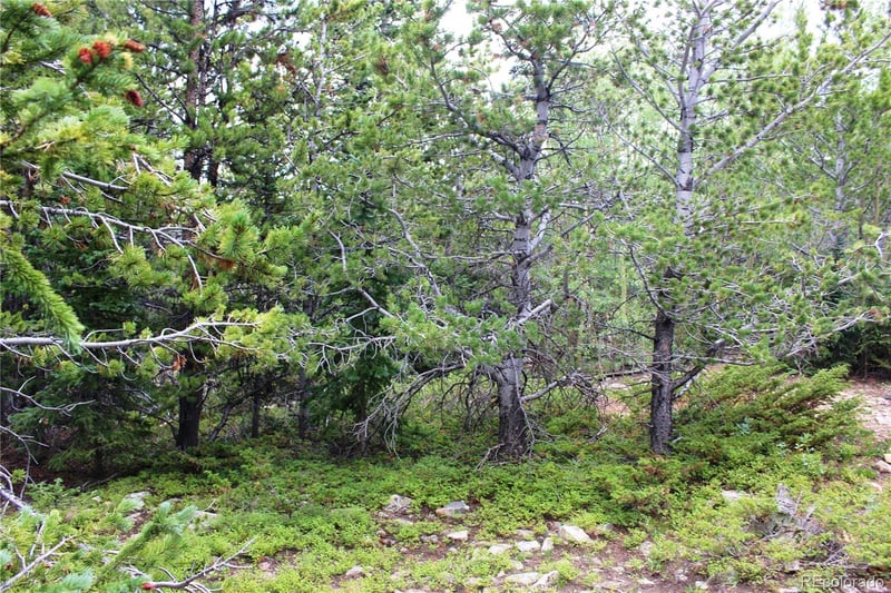 5285 Lucy Agnes Lot 5285, Black Hawk, CO 80422