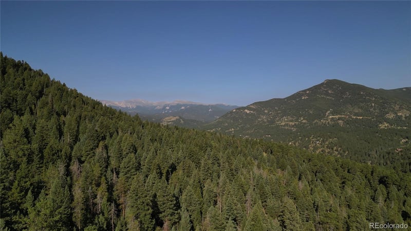 33864 Bergen Vw, Evergreen, CO 80439
